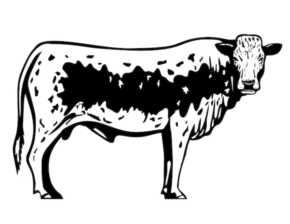 Sarl Mathieu et Négrier La Paupiette Enchantée Saint Yrieix La Perche